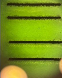 Cut lines at varying focus into the sapphire — width 30–50 µm, roughening out of focus